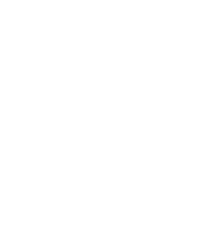 VoIP-Xperts Logo